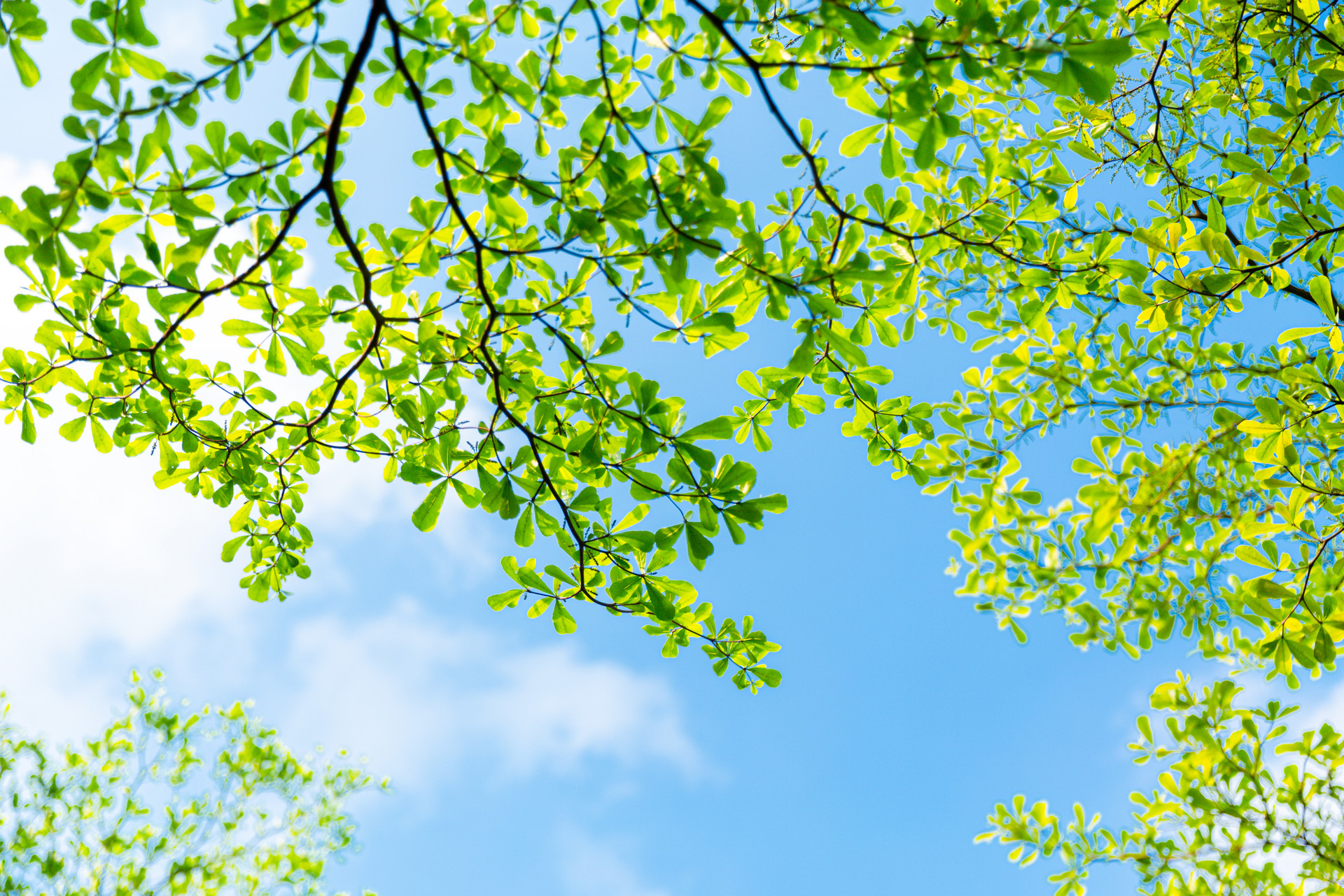 “逃離”炎熱夏日，您需要一扇隔熱節能的好門窗！